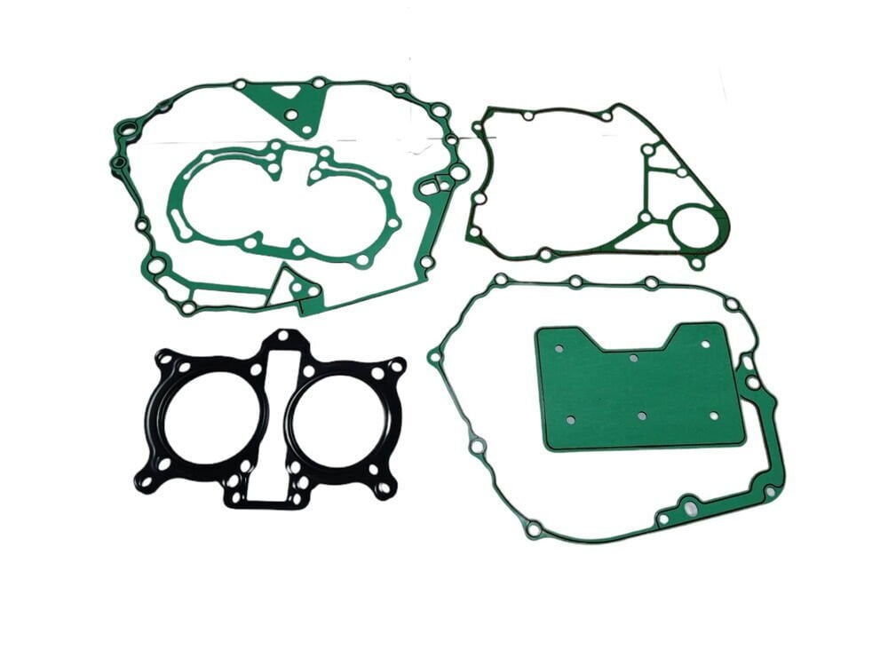 REGAL RAPTOR Pılder 250 Conta Takımı Komple