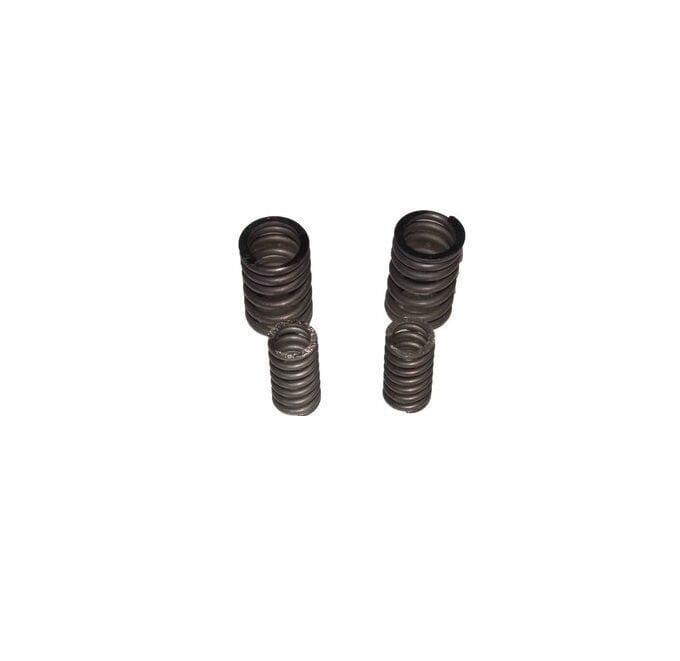 REGAL RAPTOR Pılder 250 Subop Emme Egzoz Yay Set