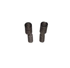 REGAL RAPTOR Pılder 250 Subop Emme Egzoz Yay Set