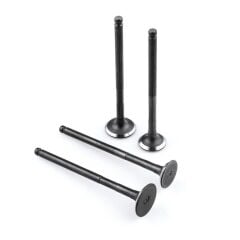 REGAL RAPTOR Pılder 250 Subop Emme Egzoz