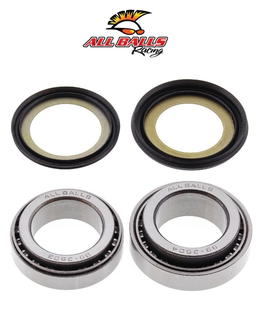 Kawazaki NINJA 300 ABR GİDON RULMAN TAKIMI