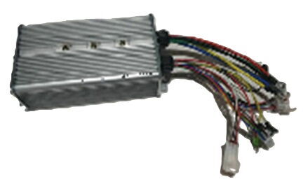 REGAL RAPTOR K4 Beyin