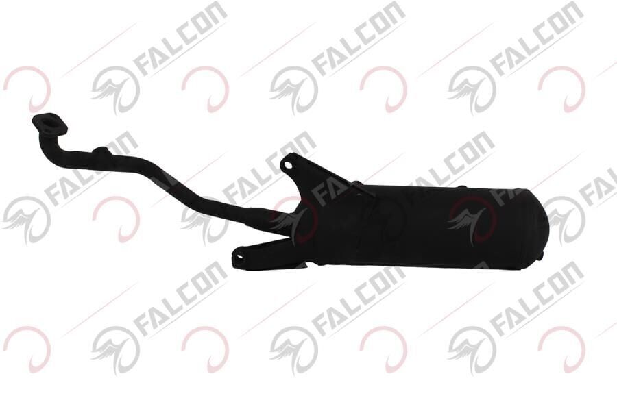 EGZOZ-DOLPHIN 100-125 EFİ Falcon