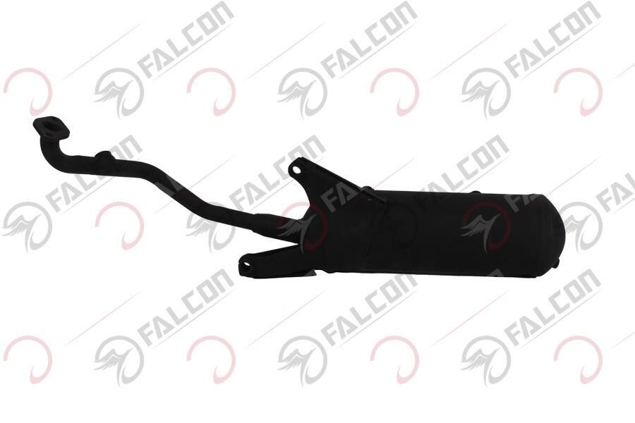 EGZOZ-DOLPHIN 100-125 EFİ Falcon