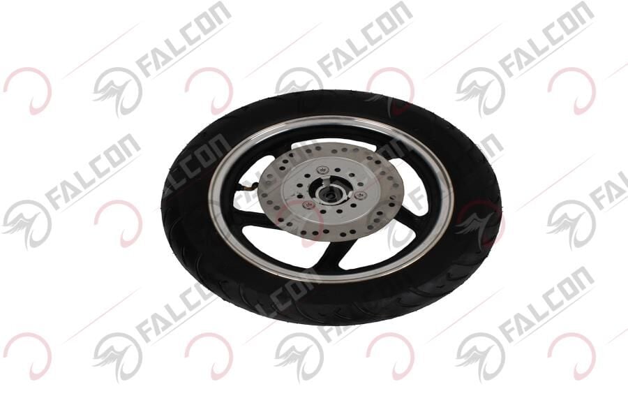 ÖN JANT-DOLPHIN 100-125 EFİ Falcon