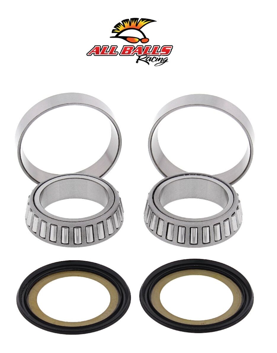 Ducati MONSTER 696 ABR GİDON RULMAN TAKIMI