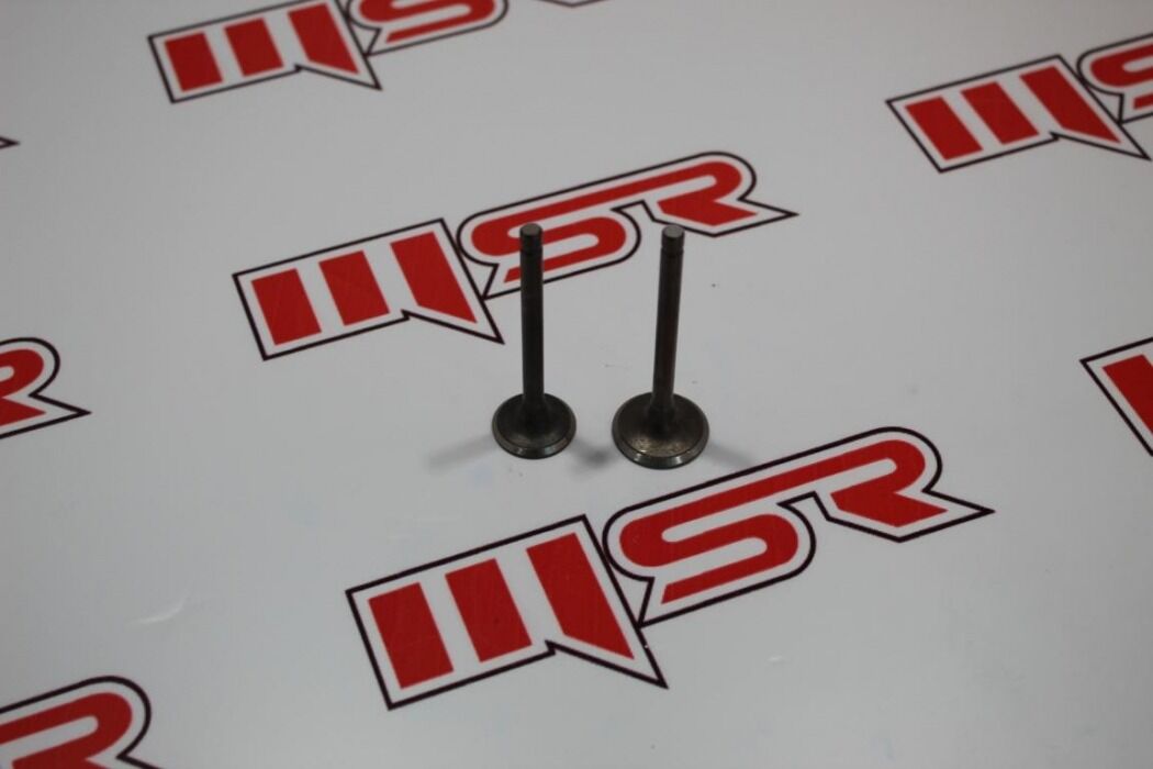 CYGNUS L SUBAP TK OEM