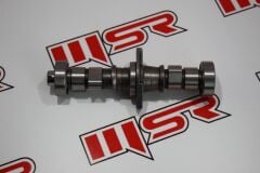 REGAL RAPTOR  350 CC EKSANTRİK MİLİ(SULU)