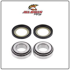 Harley Davidson V-ROD MUSCLE VRSCF 1250 ABR GİDON RULMAN TAKIMI