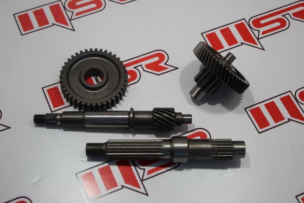 CYGNUS L DİŞLİ SETİ