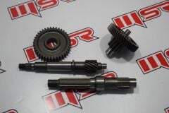 CYGNUS L DİŞLİ SETİ