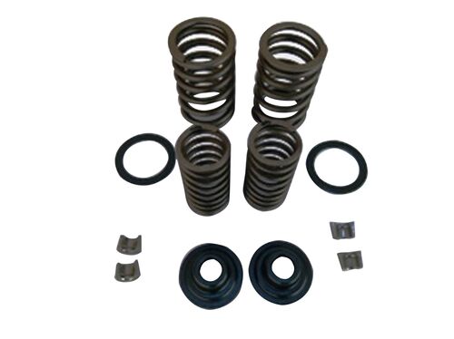 SCOOTER ÜNİVERSAL SUBAP YAY   TIRNAK SETI