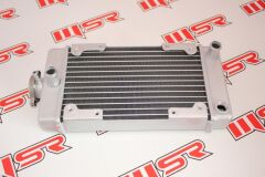 REGAL RAPTOR DD250E-9 / MR DESTRO 250 RADYATÖR 30 CM