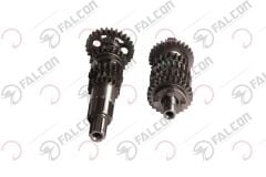 ŞANZIMAN KOMPLE-FREEDOM 250 Falcon