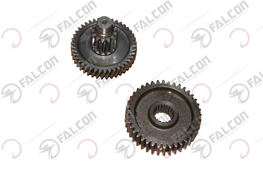 ŞANZIMAN DİŞLİ-DOLPHIN Falcon