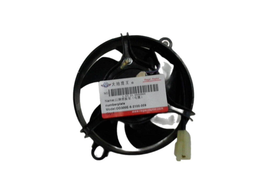 REGAL RAPTOR Pılder 125 Fan Motoru