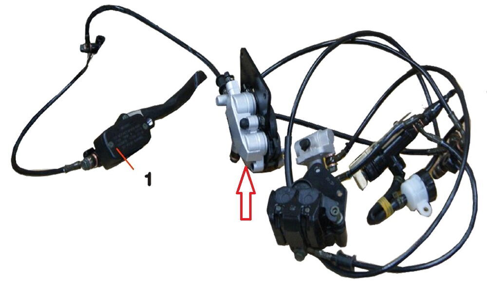 REGAL RAPTOR Daytona 125 Ön Fren Alt Merkez