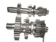 ŞANZUMAN DİŞLİ SETİ CUP 110 FT  (Takım)