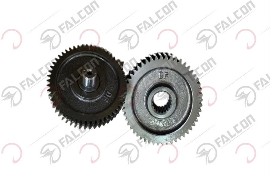 ŞANZIMAN DİŞLİ-TURTLE Falcon