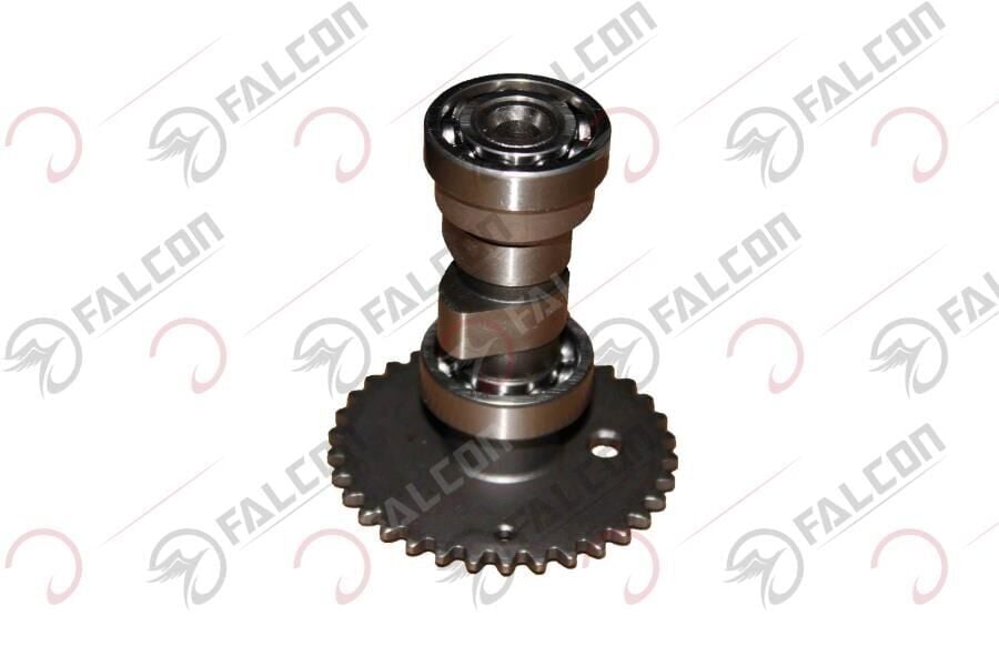 EKSANTRİK MİLİ-DOLPHIN Falcon