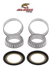 Ducati MONSTER 796 ABR GİDON RULMAN TAKIMI