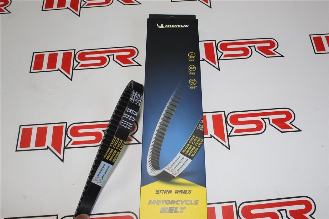 MICHELIN KAYIŞ CYGNUS L