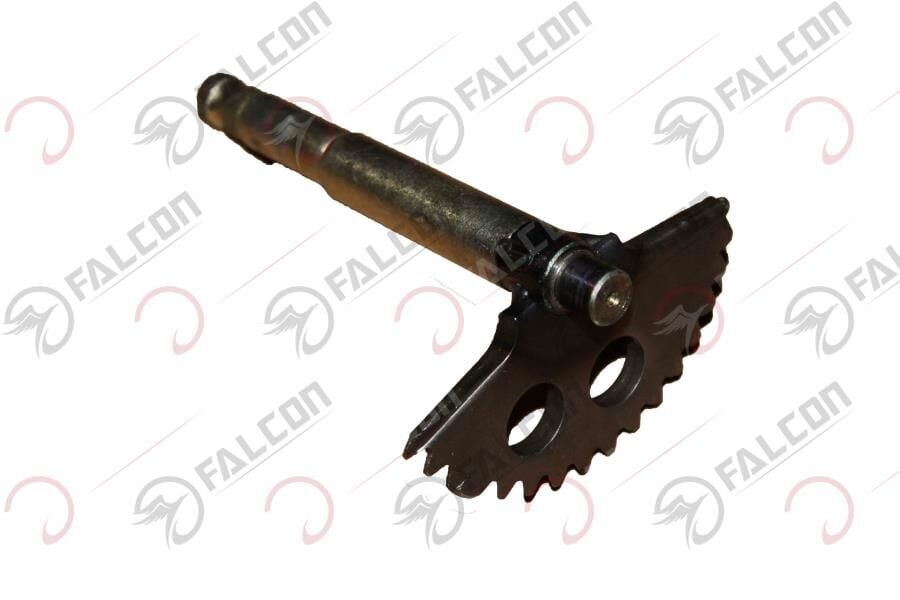 MARŞ MİLİ KOMPLE-DOLPHIN Falcon