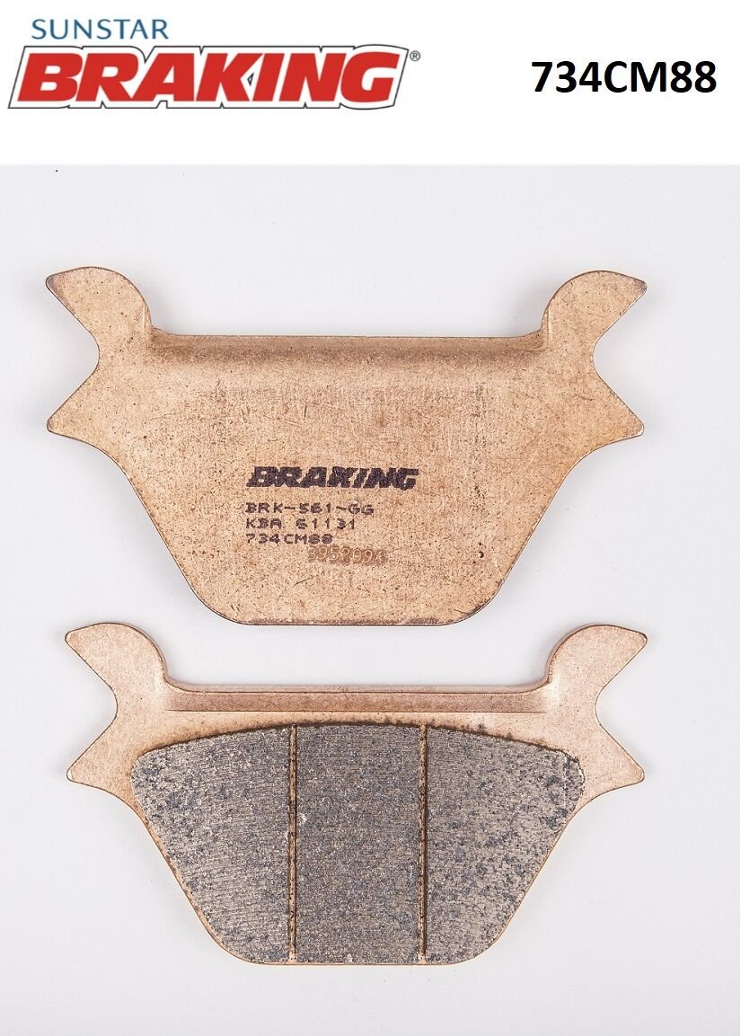 Harley Davidson FAT BOY (FLSTC) 1340 SİNTERLİ ARKA FREN BALATASI