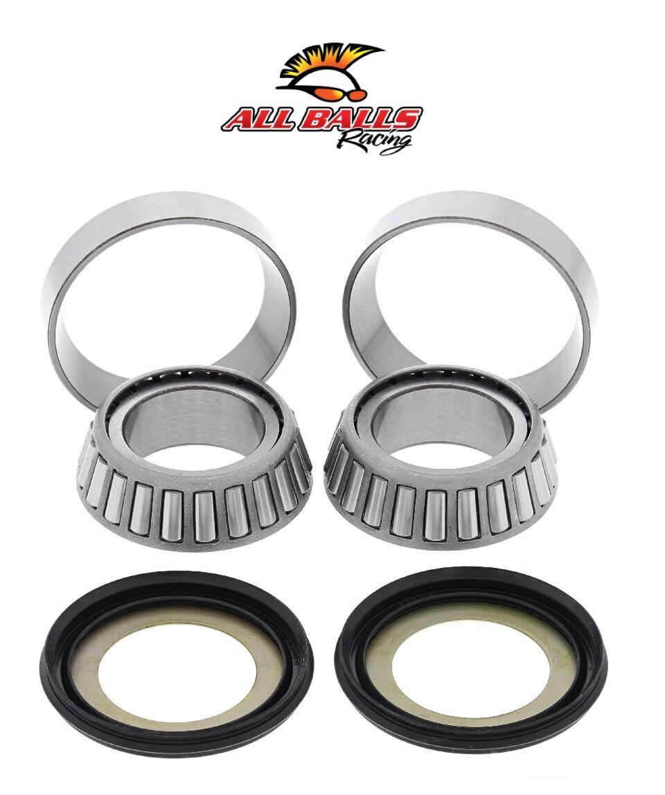 BMW F 800 GS ABR GİDON RULMAN TAKIMI