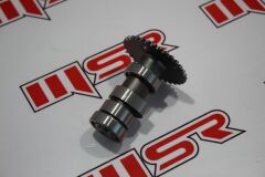 AN 125 EKSANTRİK MİLİ