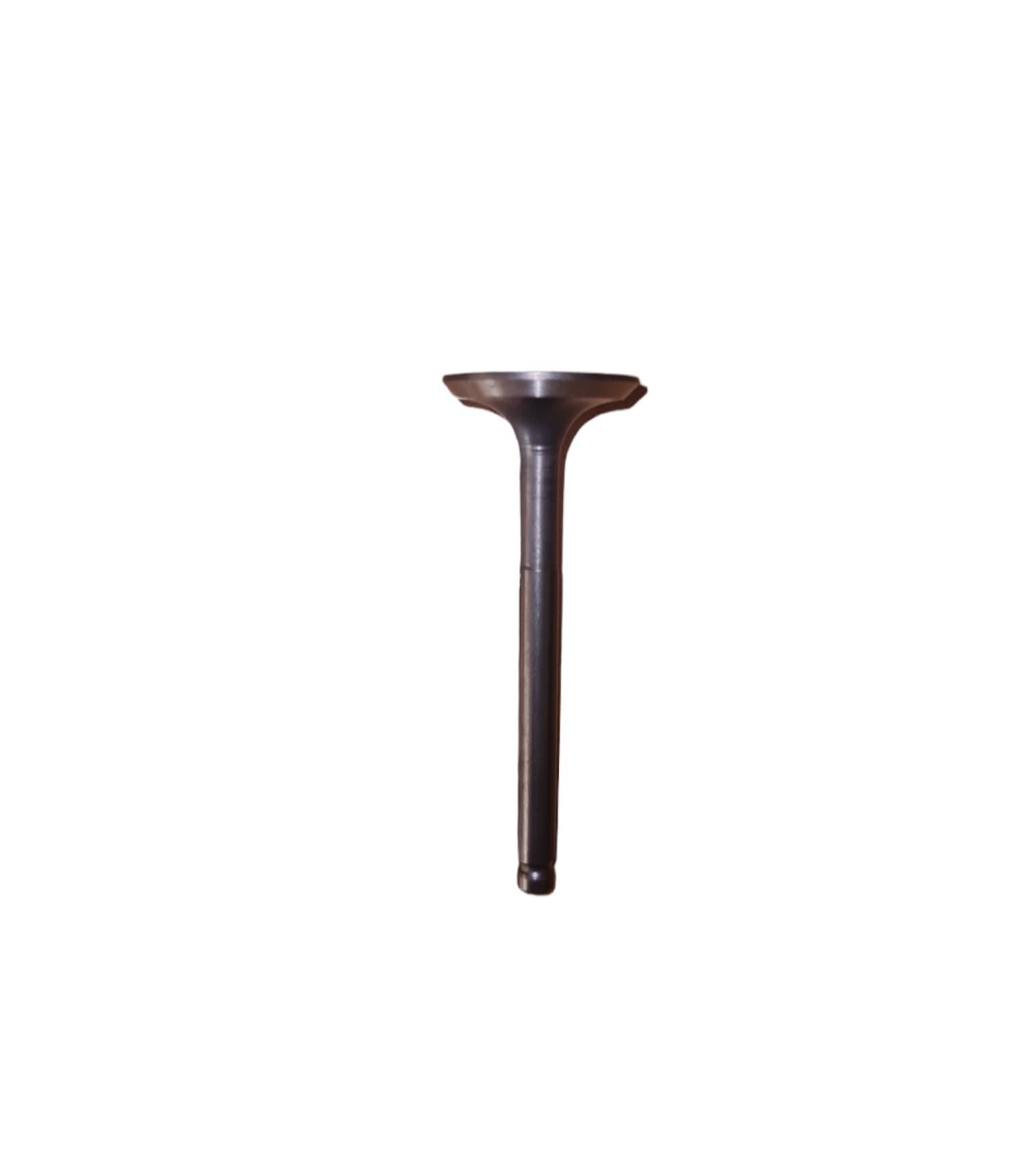 EGZOZ SUBABI MATİ 125