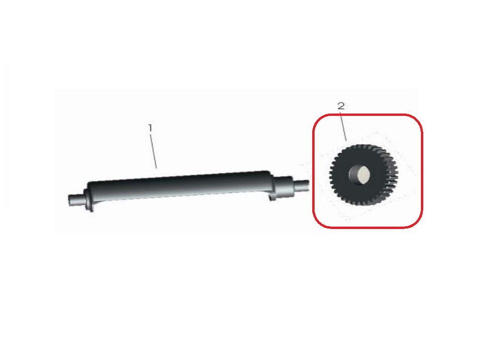 REGAL RAPTOR Spyder 350 Balansör Dişlisi