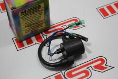 TVS SCOOTY PEP 75 CC DIŞ BOBİN