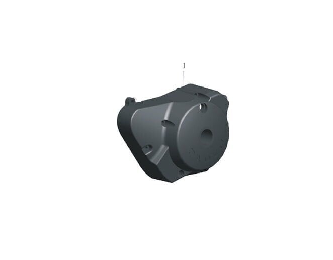 REGAL RAPTOR Daytona 125 Statör Dış Kapak Siyah