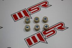 AN 125 VARYATÖR 11.4 GR 6 12X17 LI BURÇ SETİ