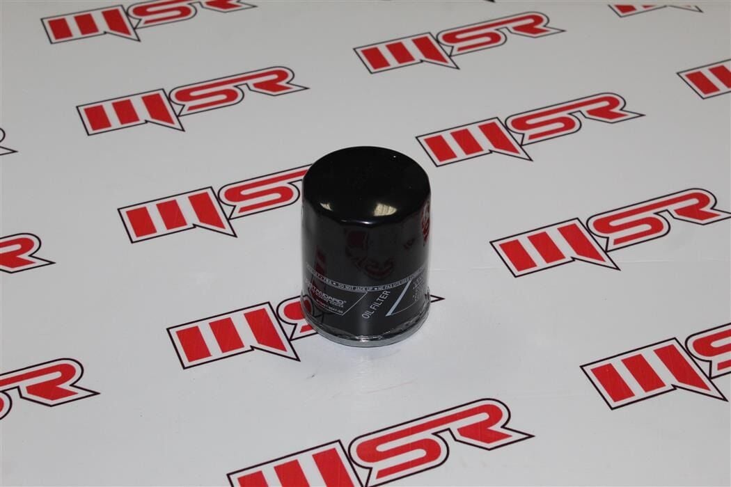 SEGWAY UTV 1000 CC YAĞ FİLTRESİ