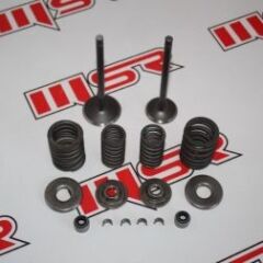 XMAX 250 SÜBAP YAY SETİ