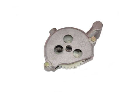 REGAL RAPTOR Spyder 350 Yağ Pompası Komple Uzun