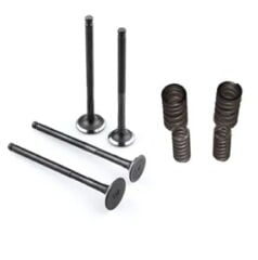 REGAL RAPTOR Daytona 125 Subop Emme Egzoz Yay Seti