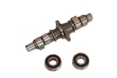 REGAL RAPTOR Spyder 350 Eksantrik Mili