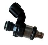 ENJEKTÖR TVS RAİDER 125 (N6060210)