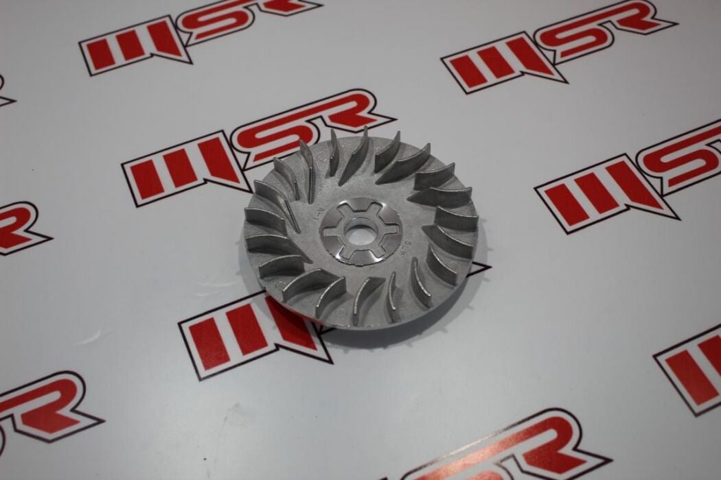 BWS 100 ÖN VARYATÖR FANI