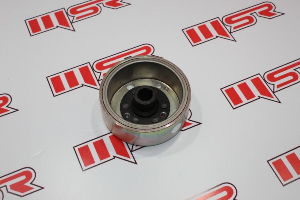BWS 100 MANYETO ROTOR