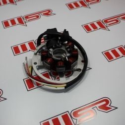 BWS 100 KOMPLE STATÖR