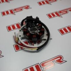 BWS 100 KOMPLE STATÖR