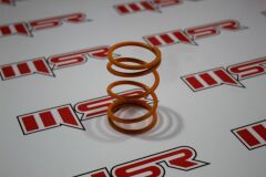 POLARİS 500 DEBRİYAJ YAYI