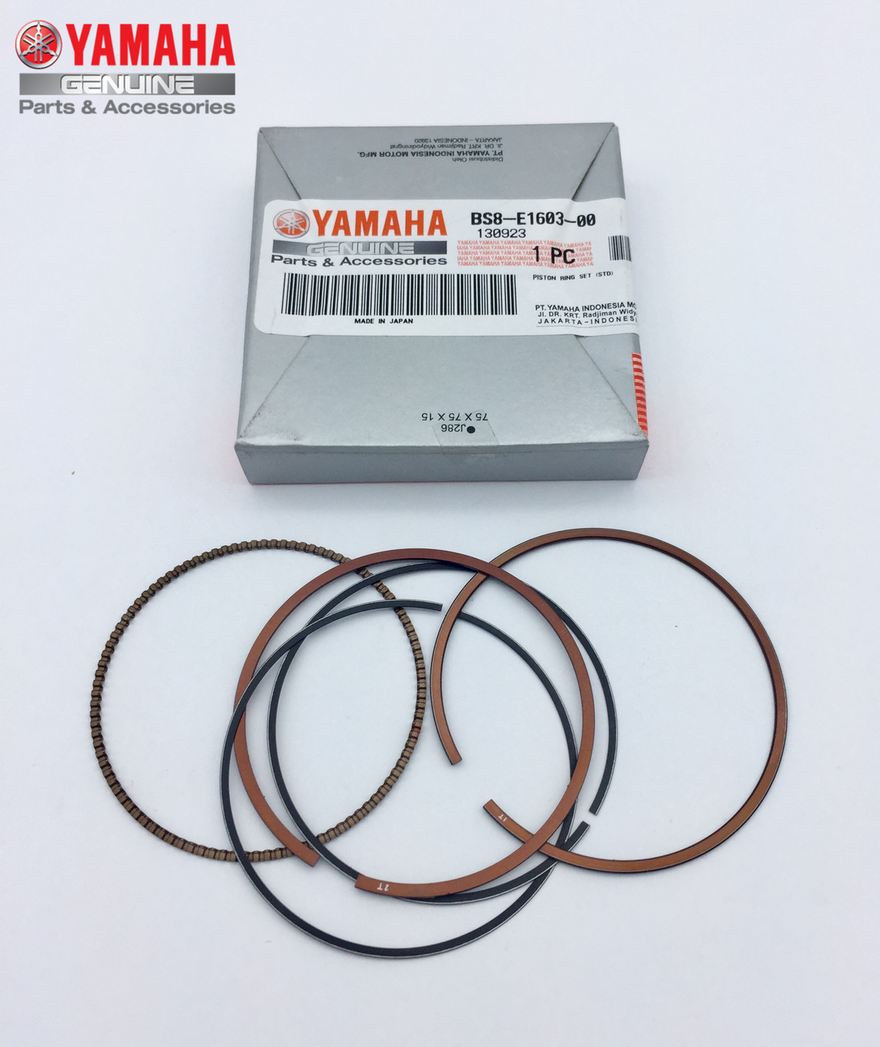 Yamaha MT25 250 SEGMAN SETİ