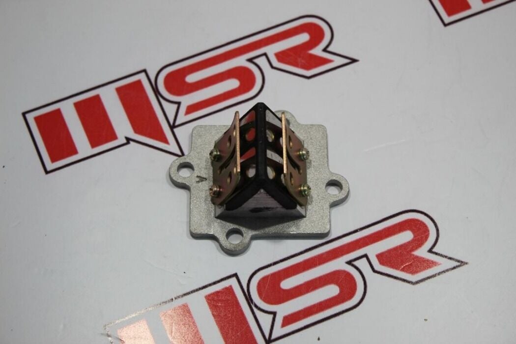 BWS 100  DİYAFRAM KLAPE