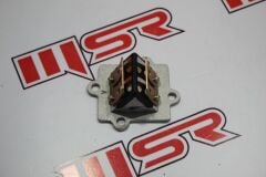 BWS 100  DİYAFRAM KLAPE