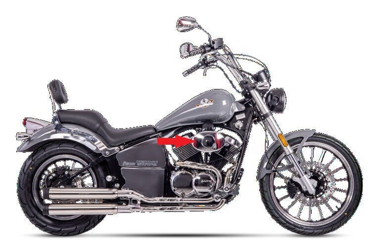 REGAL RAPTOR Daytona 250 V Hava Filtre Kutusu Komple